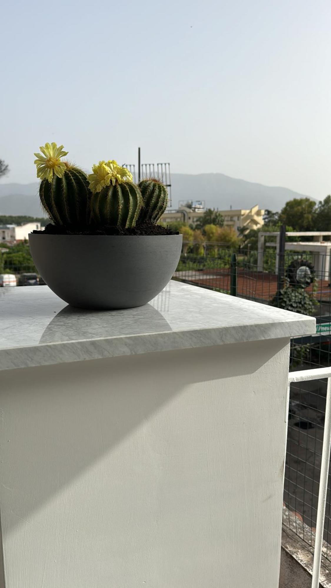 Vesuvius Pompeii Bed & Breakfast エクステリア 写真